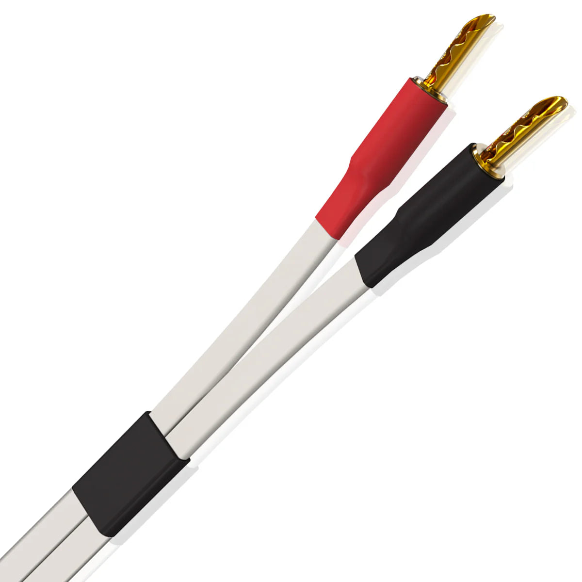 Horizon™ Speaker Cable - Just Audio HiFi