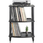 Pangea Audio Vulcan Turntable Stand and LP Storage Rack