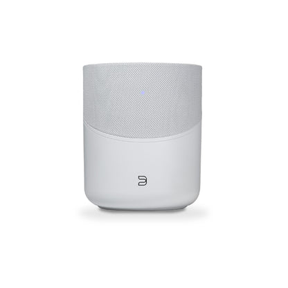 Bluesound Pulse M